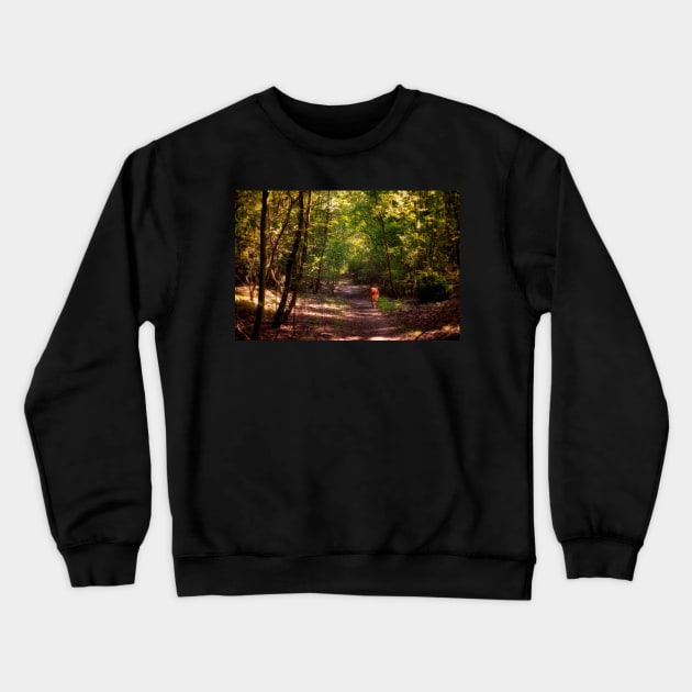 Woodland Walkies Crewneck Sweatshirt by InspiraImage